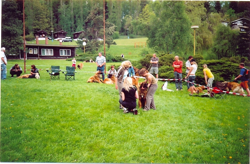 Štěňata Leonberger - Vrh B